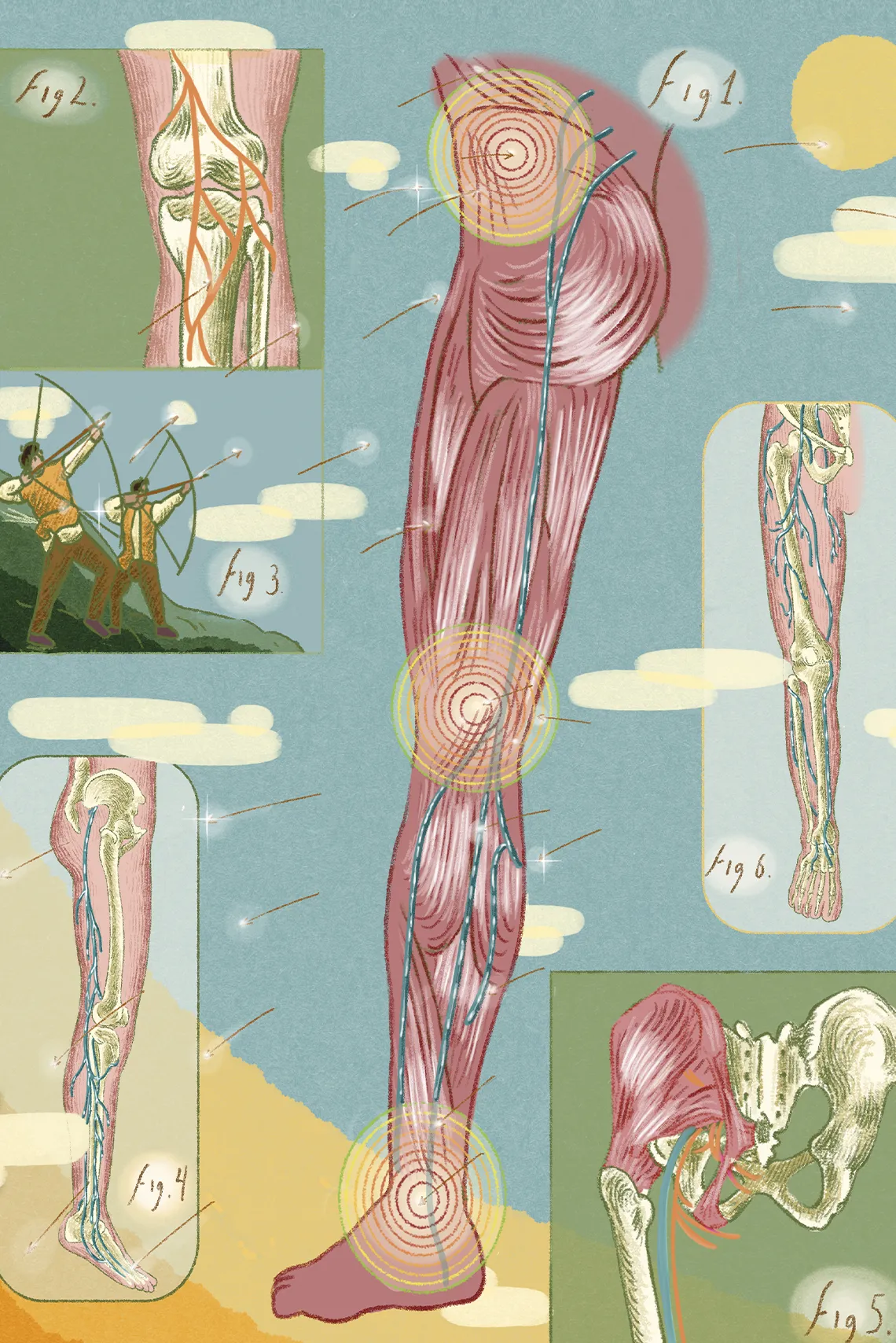 Nervio ciático: el más largo y ancho del cuerpo