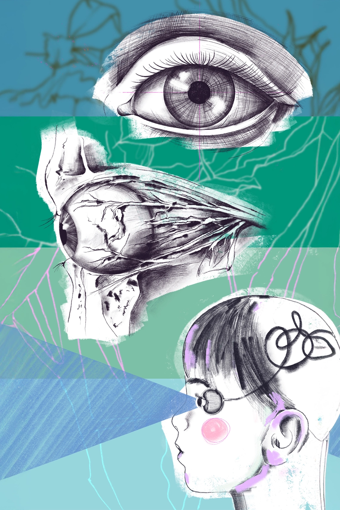La infancia de los ojos: cómo vemos al llegar al mundo