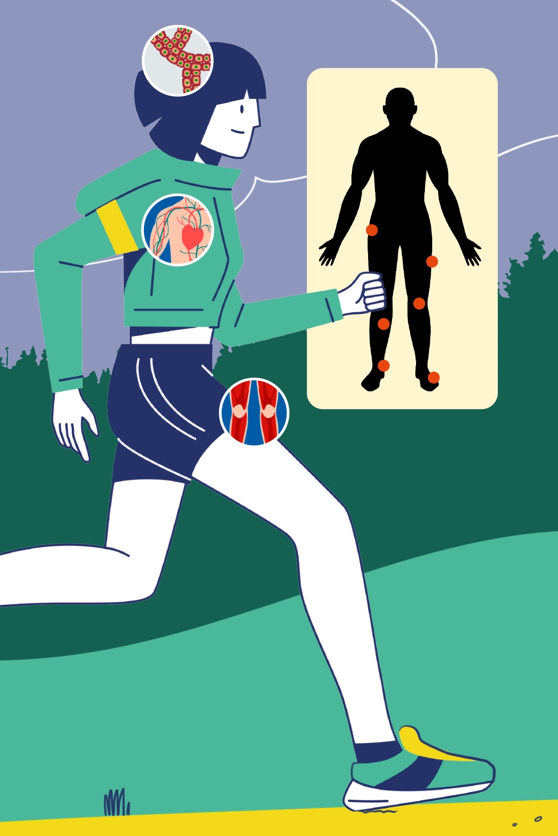 Anatomía del running: una guía completa para correr bien