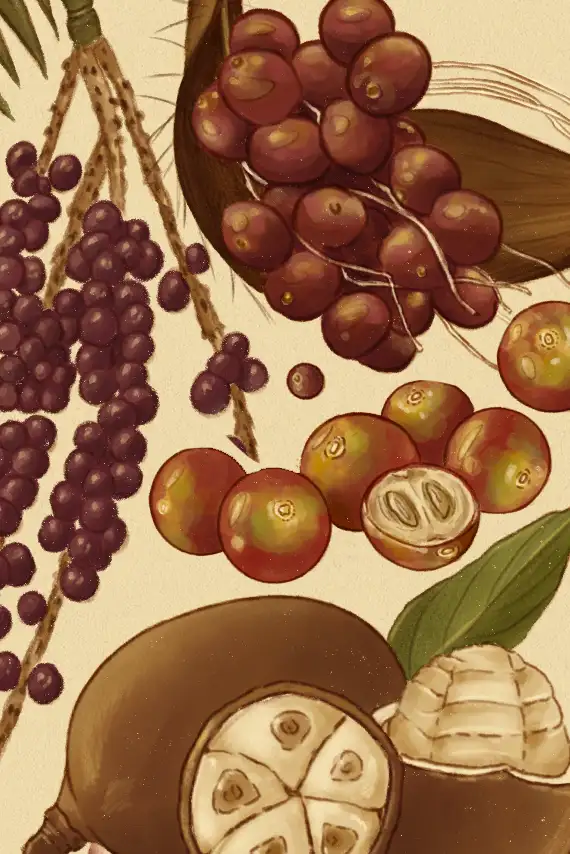 Las frutas amazónicas que cuidan la salud (y el bosque)