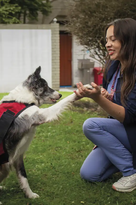 Terapia asistida con perros, ¿cómo funciona?