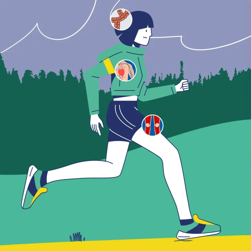 Anatomía del running: una guía completa para correr bien