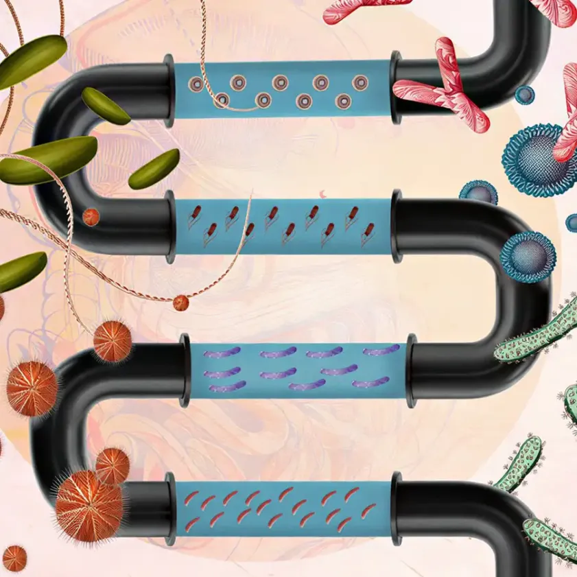La salud intestinal empieza desde la infancia
