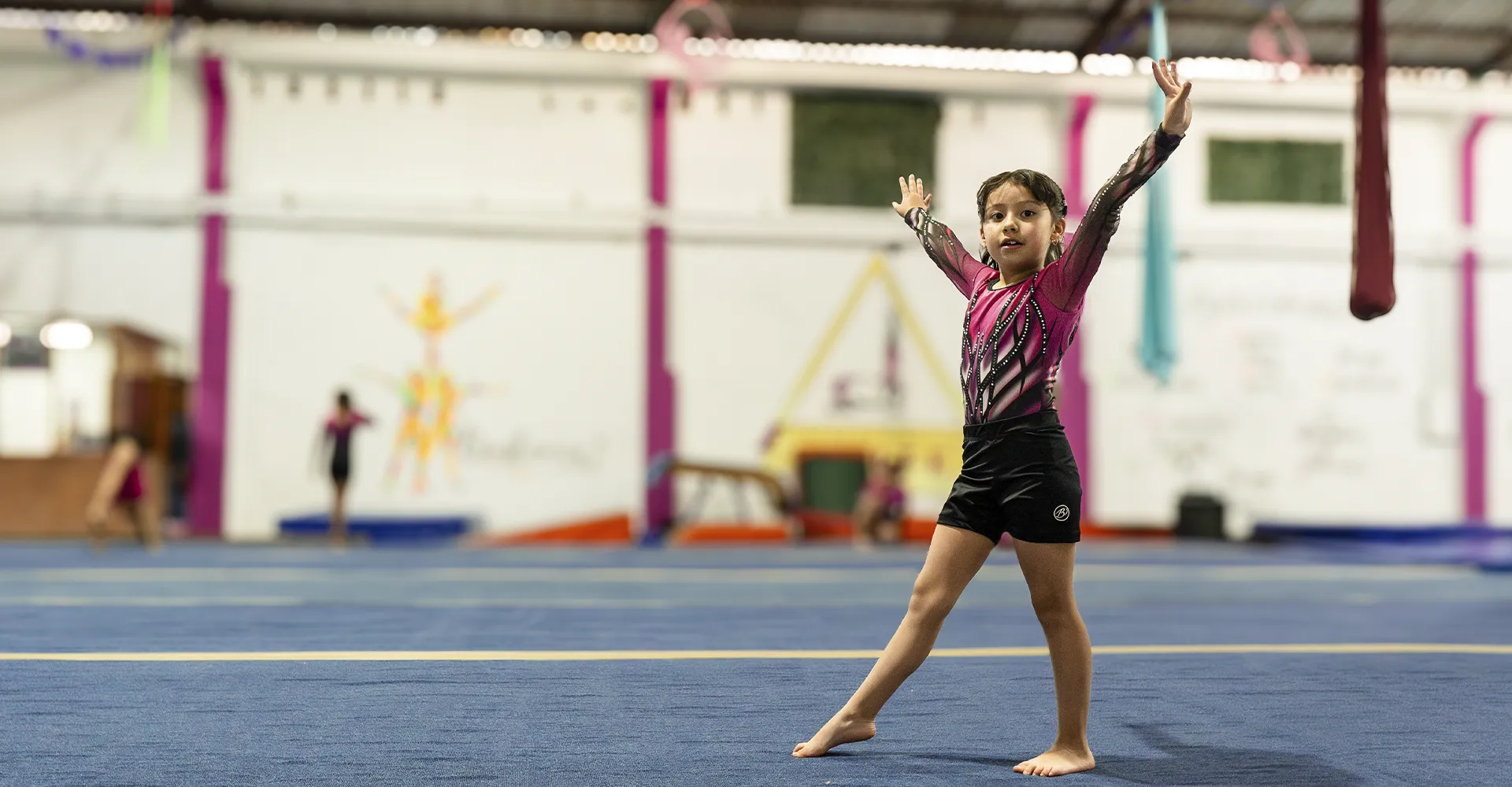 escuela de gimnasia