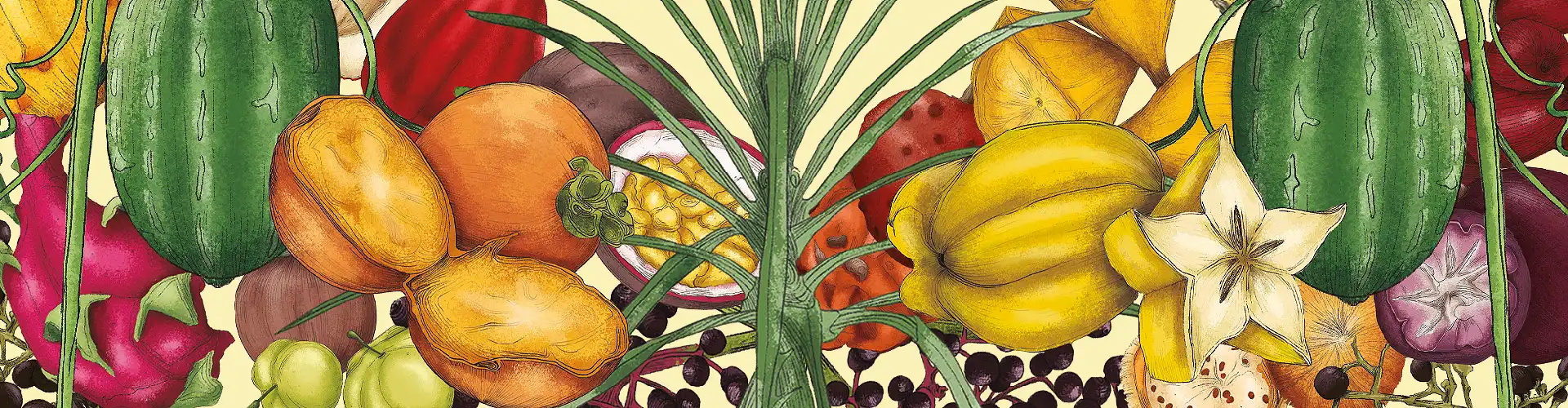 Gian Paolo Daguer: el colombiano que ha probado 400 frutas