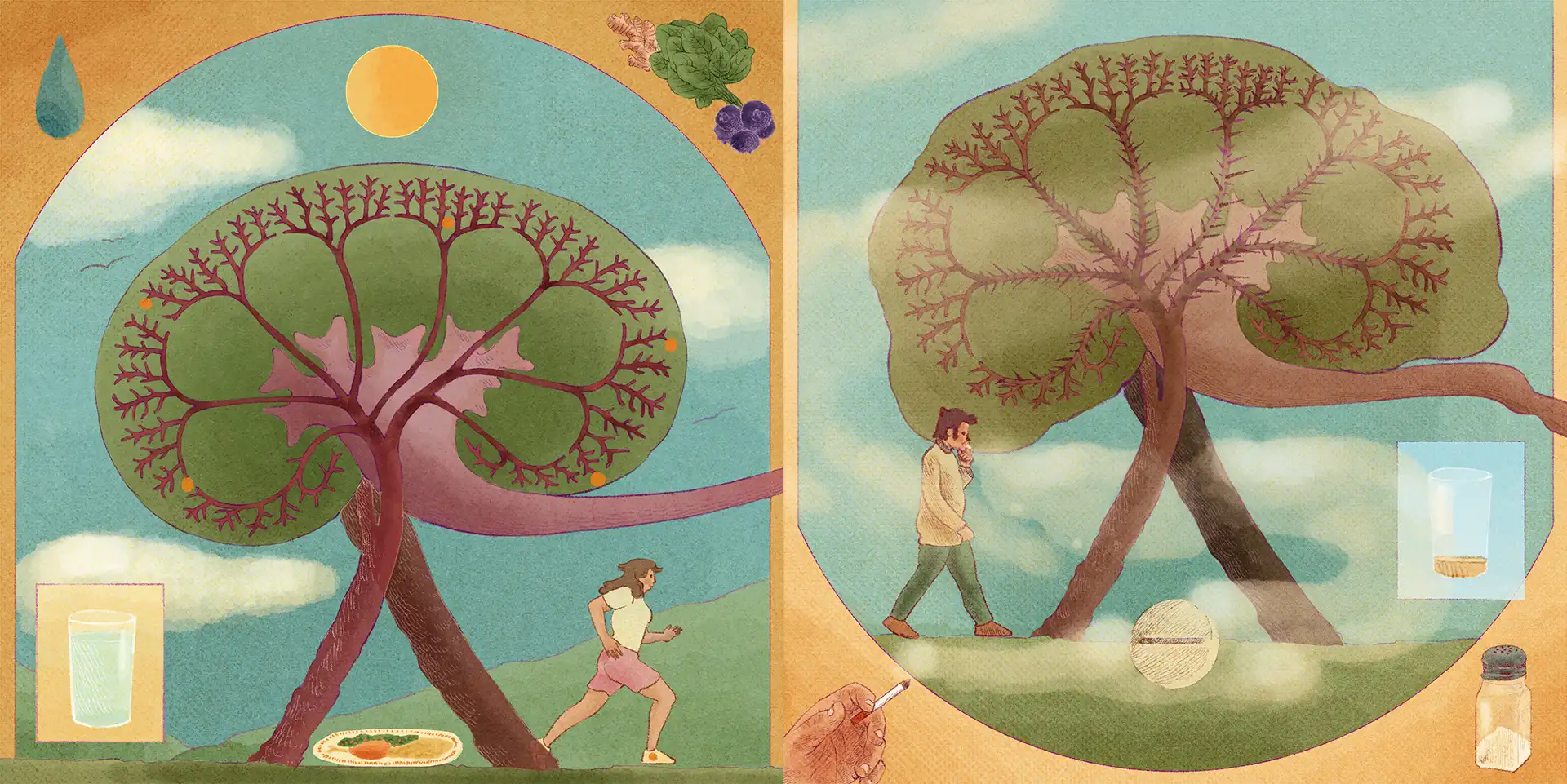 Riñones guardianes de la salud