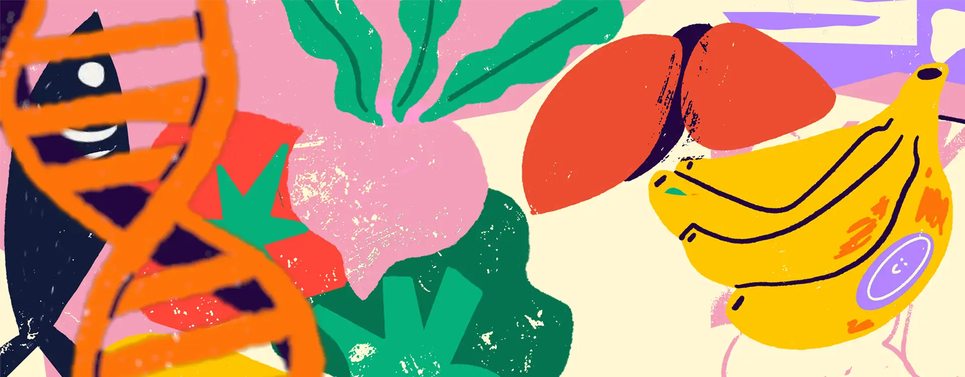 entender la obesidad