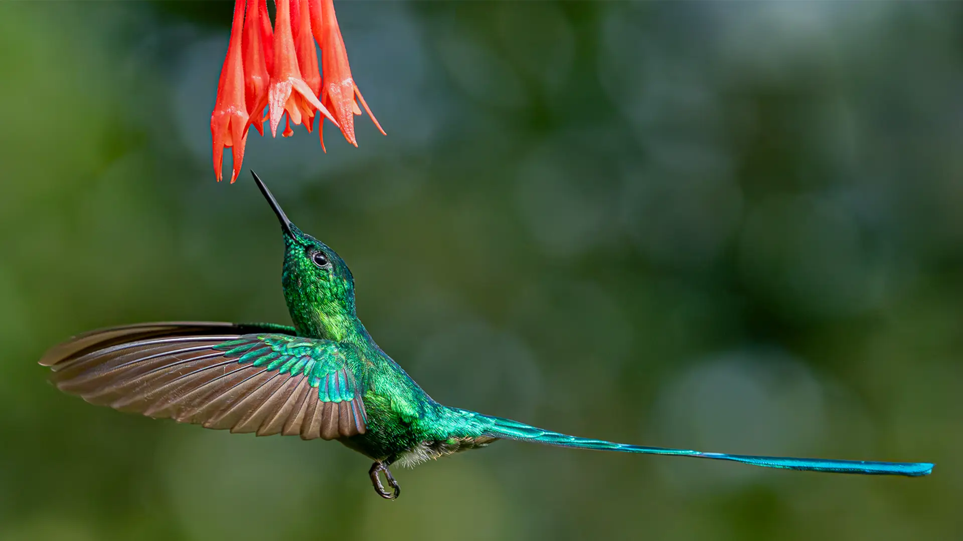 las montañas de Cali