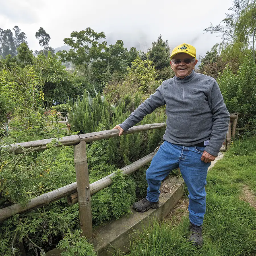 educación ambiental Colombia