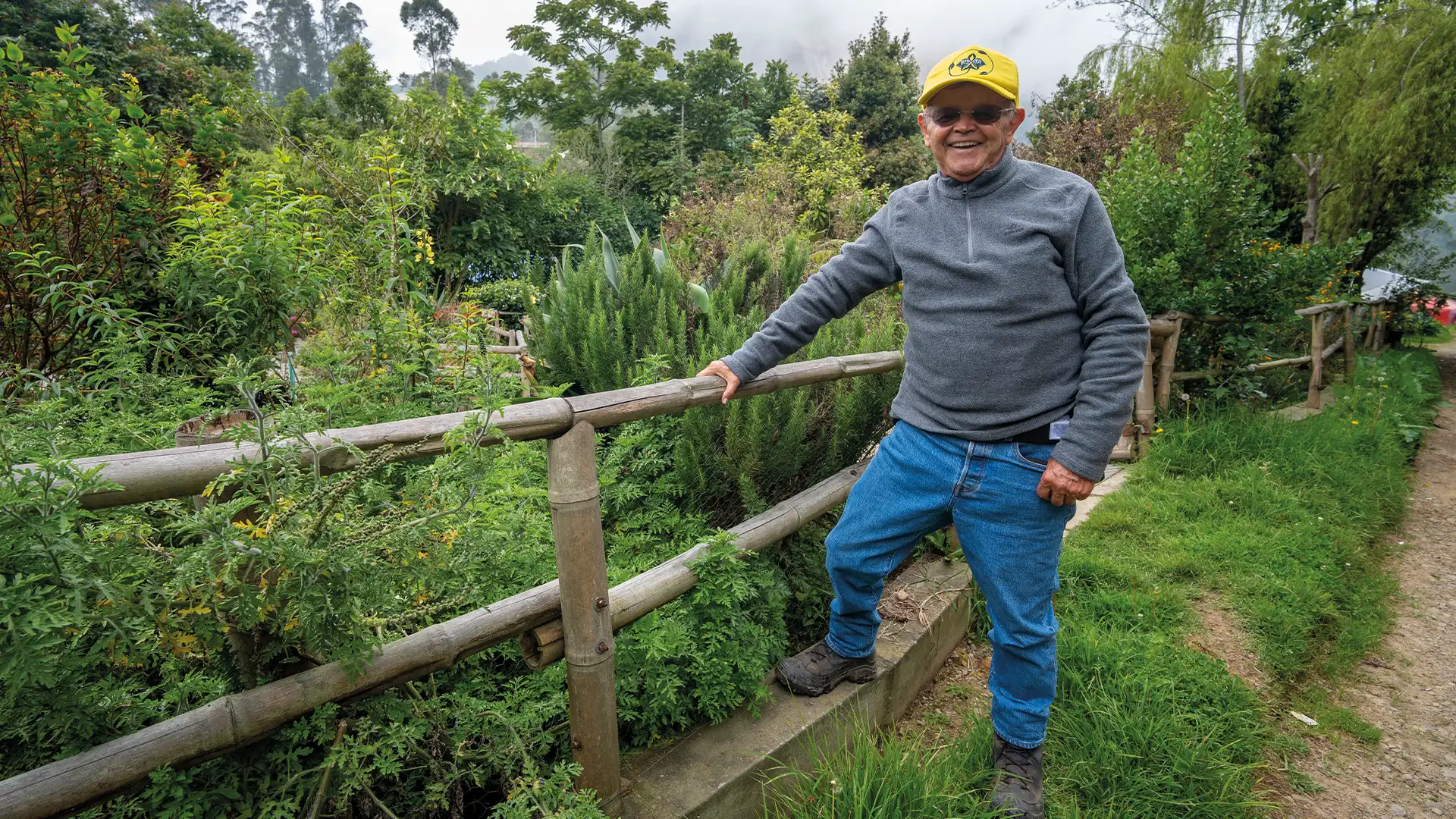 educación ambiental Colombia