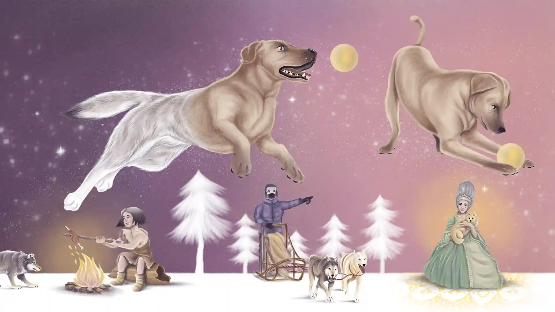 domesticación de los perros