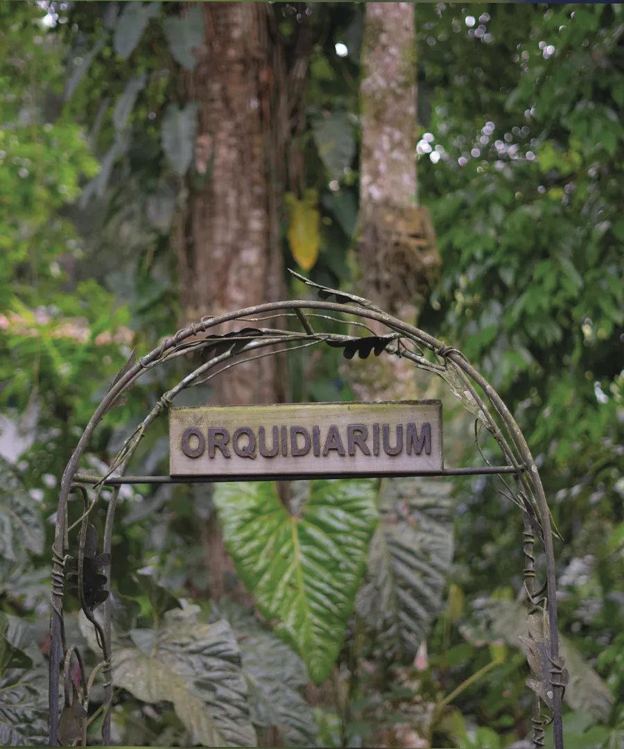 Jardín Botánico