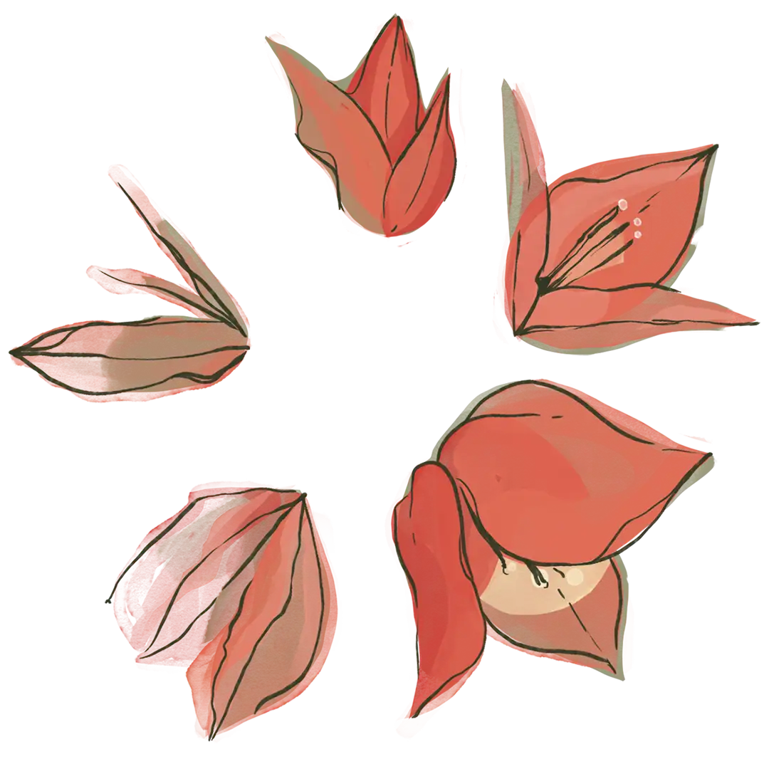 educación menstrual 