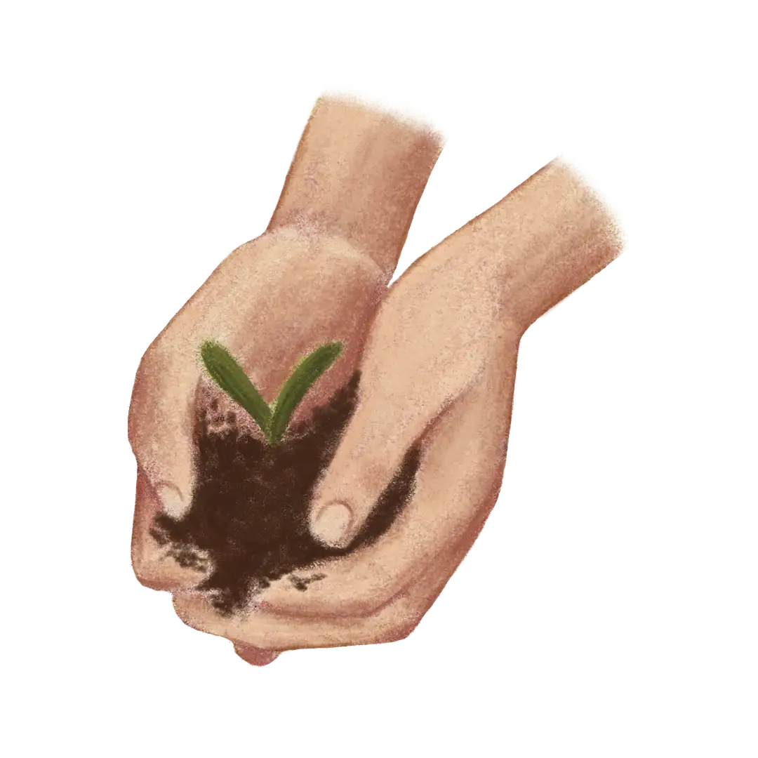 plantas y bienestar emocional