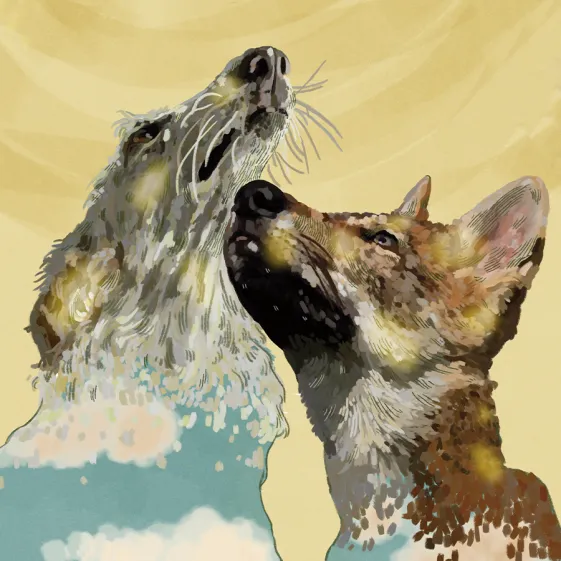 duelo por la pérdida de un perro