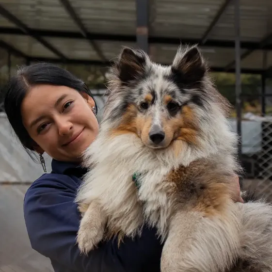 Centro Canino Cruz Roja Bogotá
