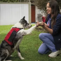 terapia con animales beneficios