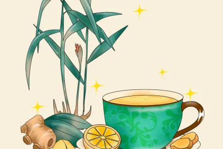Infusiones y aromáticas