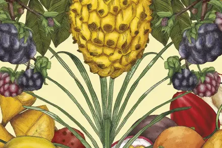 Gian Paolo Daguer: el colombiano que ha probado 400 frutas