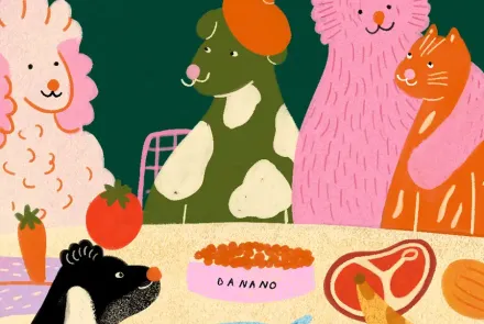 alimentación para mascotas