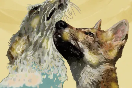 duelo por la pérdida de un perro