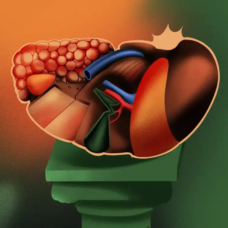 hígado y metabolismo